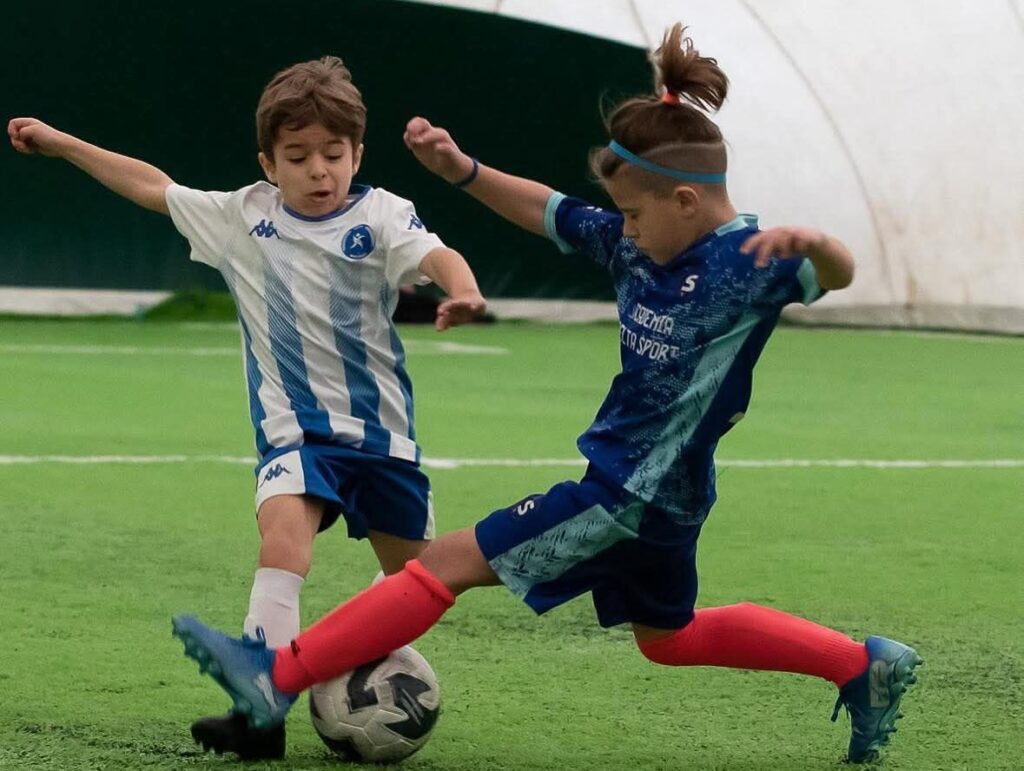 academia de Fotbal Delta Sport 7 1024x771