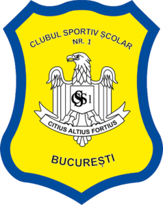 css 1 logo 1 238x300