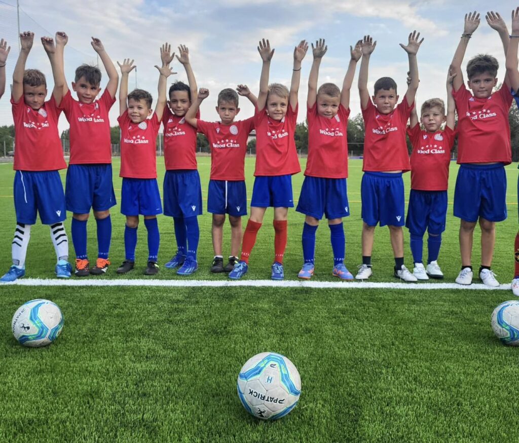 fc danilescu 1 1024x874