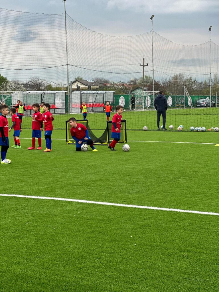 fc danilescu4 768x1024