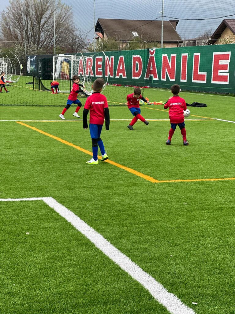 fc danilescu5 768x1024