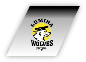 lumina wolves scoala de fotbal lucian sanmartean logo 67fd585f8b93c 300x218