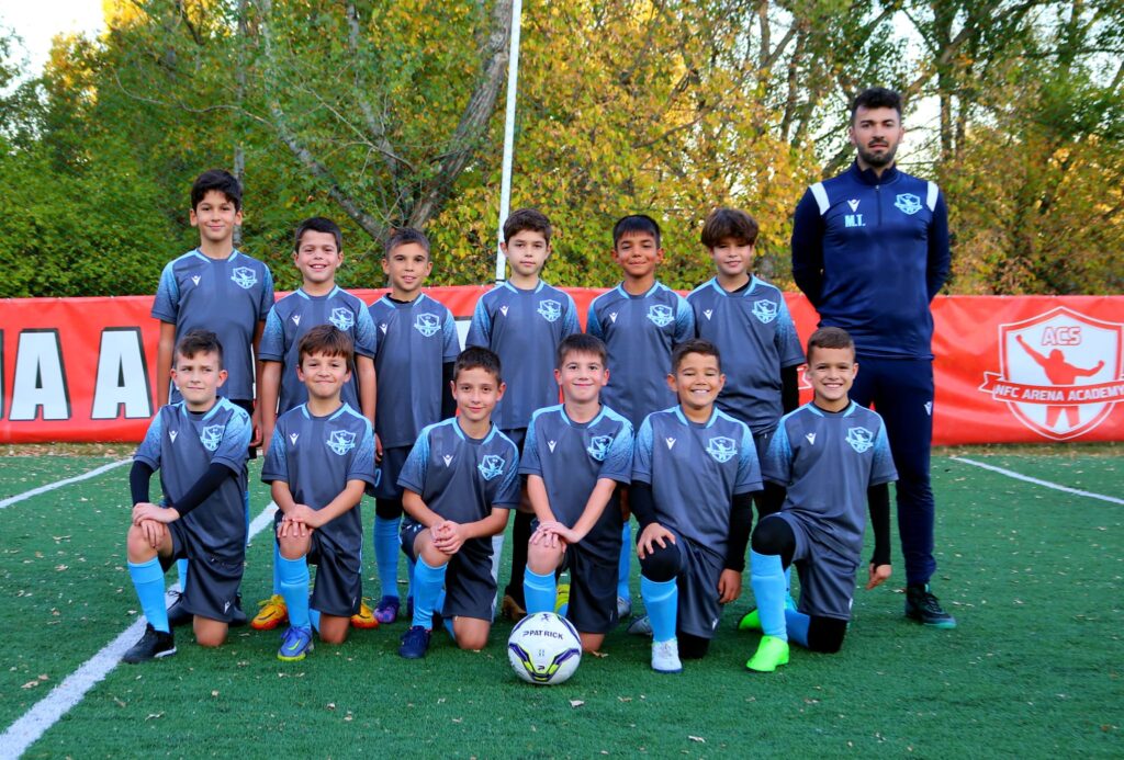 nfc arena 2 1024x693