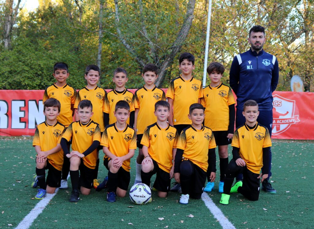 nfc arena 6 1024x747