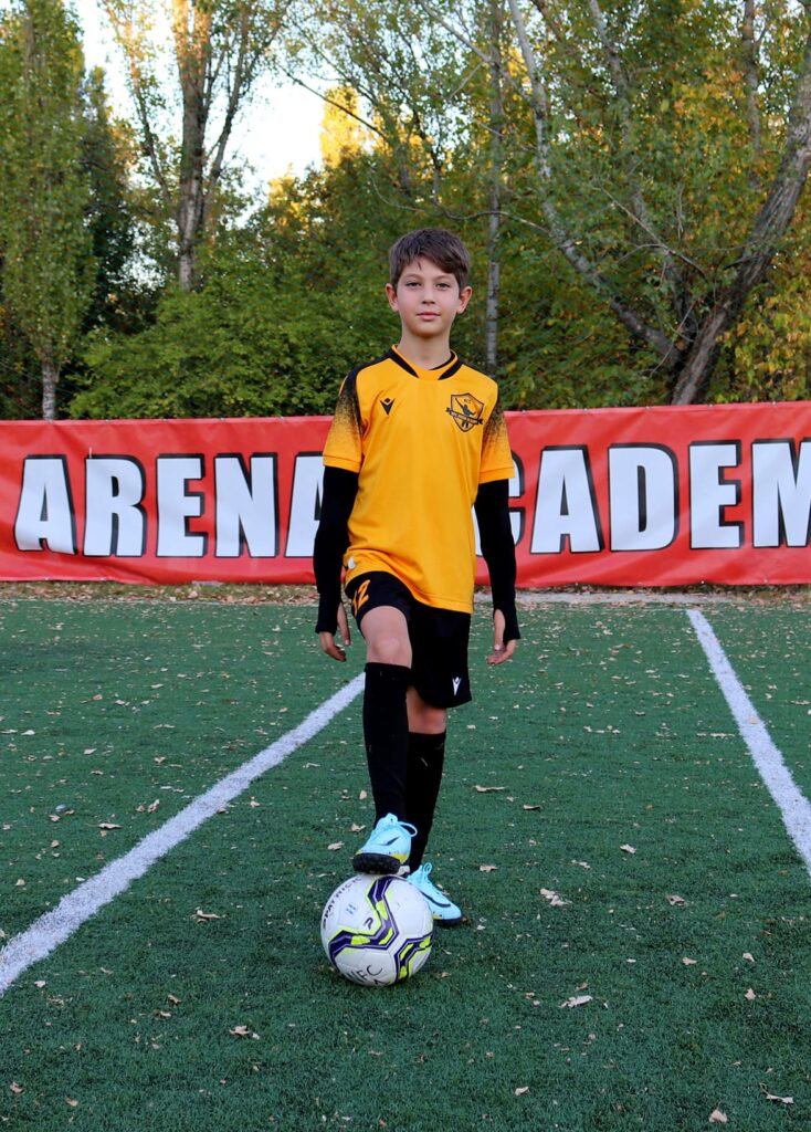 nfc arena 7 734x1024