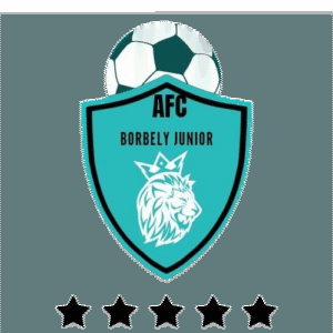 AFC Boberly Junior logo 300x300