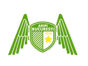 Aripi Bucuresti logo sigla 300x225