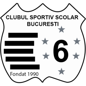 CSS NR 6 LOGO 300x300