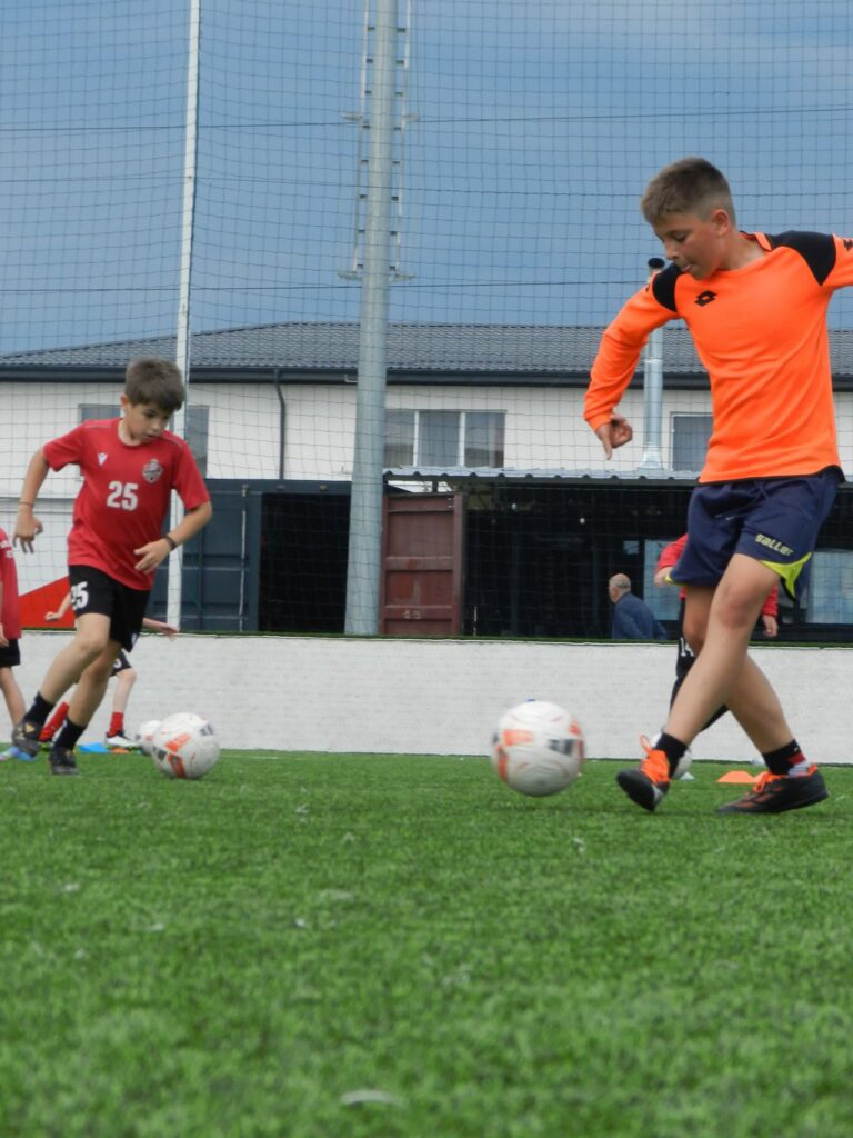 Sportul Colentina Bucuresti 8 768x1024