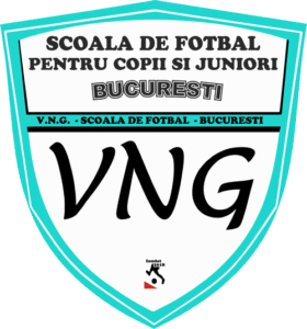 VNG Viitorul Noua Generatie 280x300