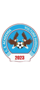 Vulturii Sudului logo 1 134x300