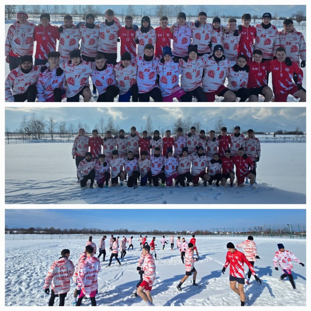 acs alexandru vaidean 5 1024x1024