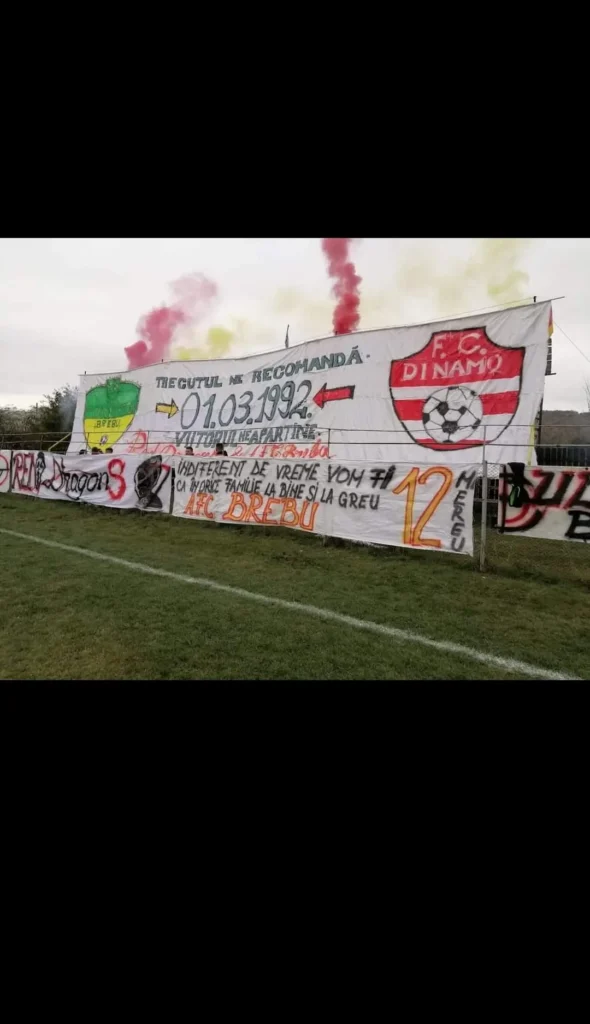 AFCBrebu 6 590x1024