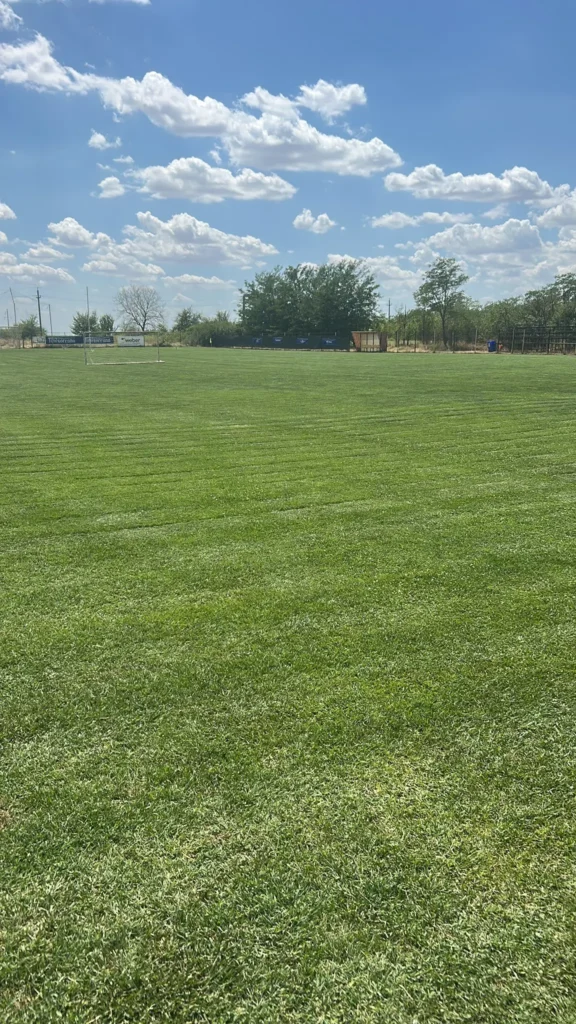 ASBaraganulCiulnita 5 576x1024