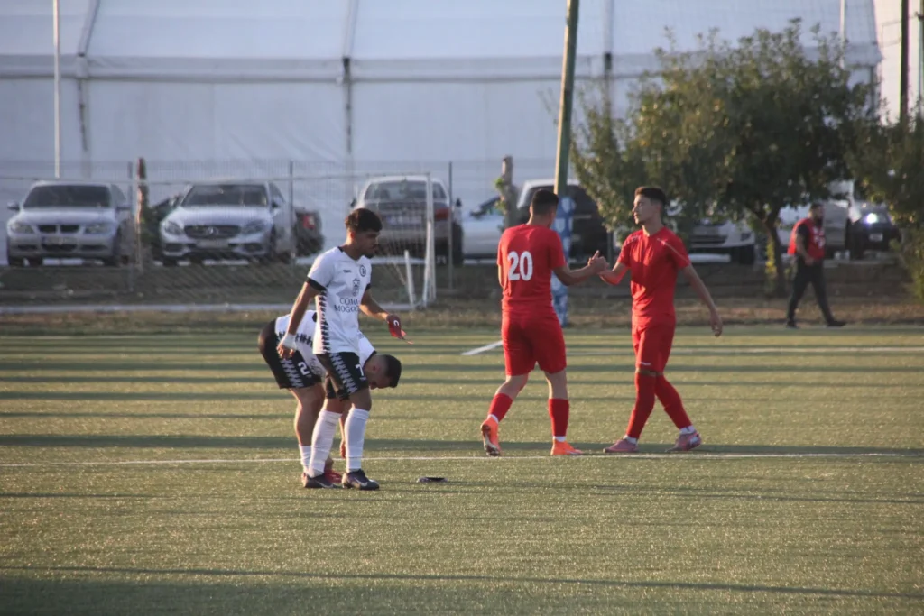 CSOTricolorulBreaza 7 1024x683