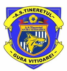 CSTineretulGuraVitioareiLOGOSIGLA 281x300