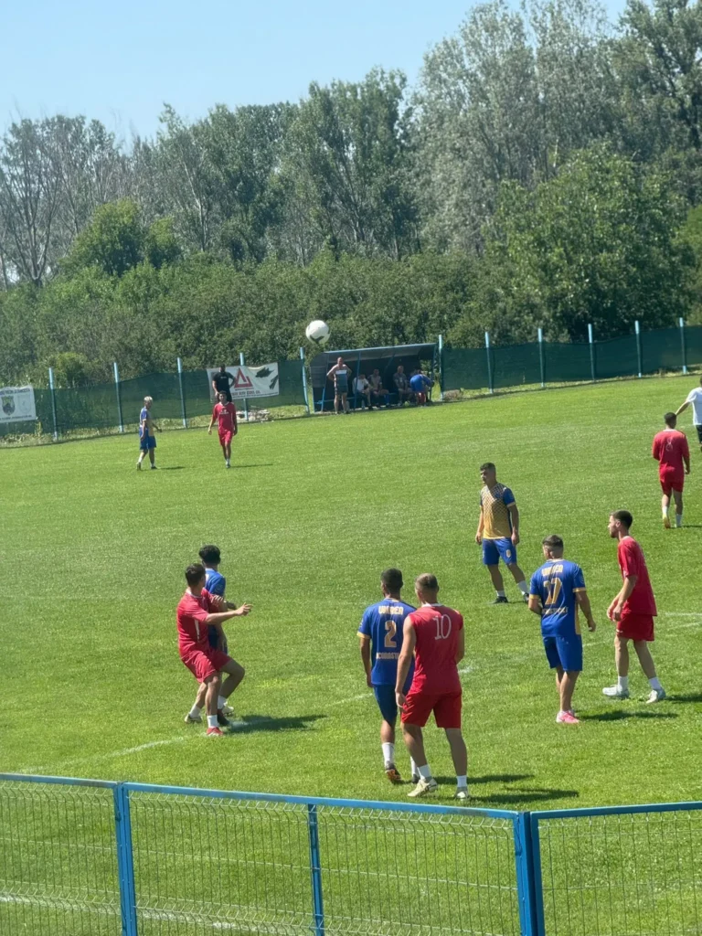 CSUnireaCocorastiiColt 3 768x1024