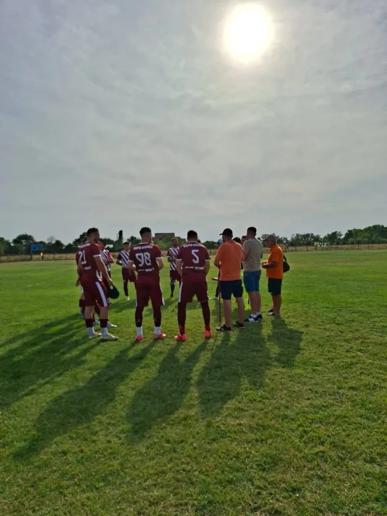 RapidSalciile 3 768x1024