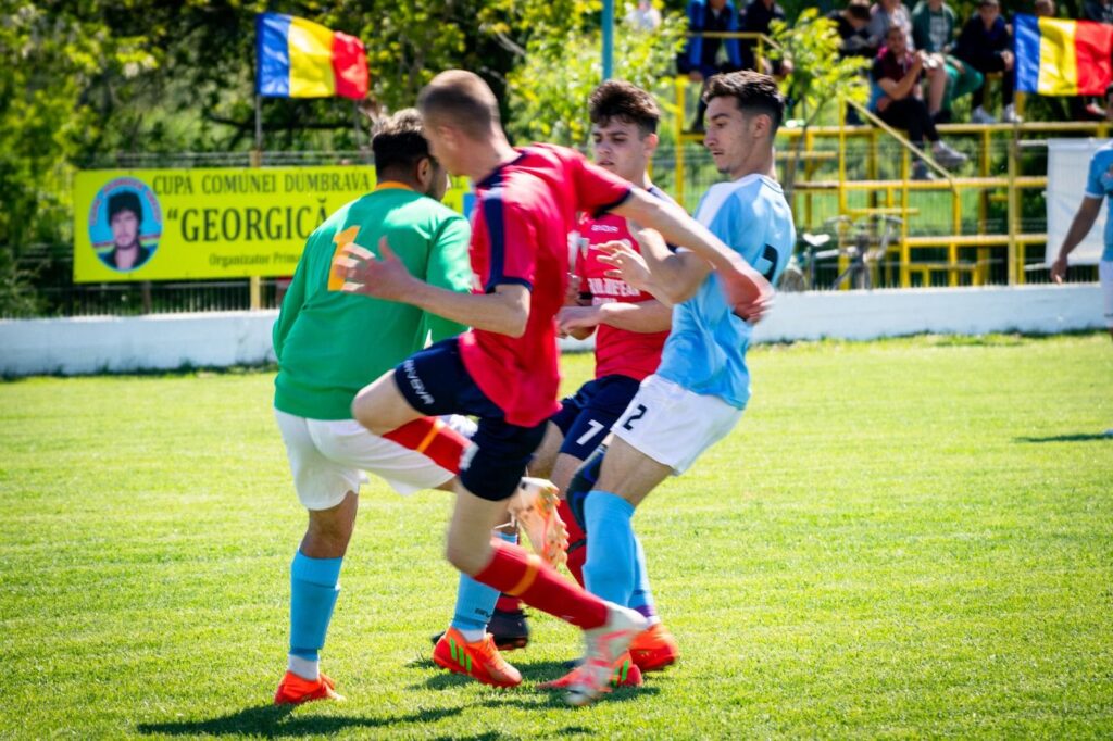 Recolta Drumbrava 4 1024x682