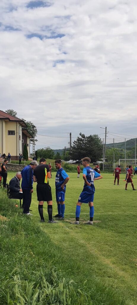 Soimii Apostolache 5 462x1024