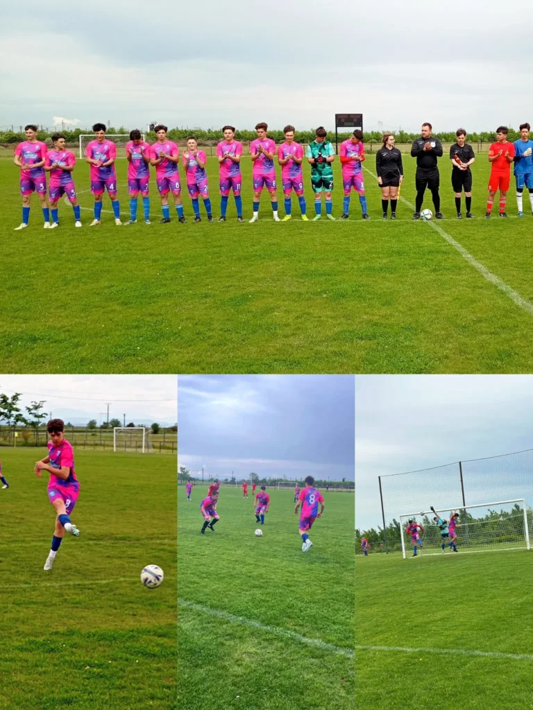 ViitorulComarnic 1 768x1024