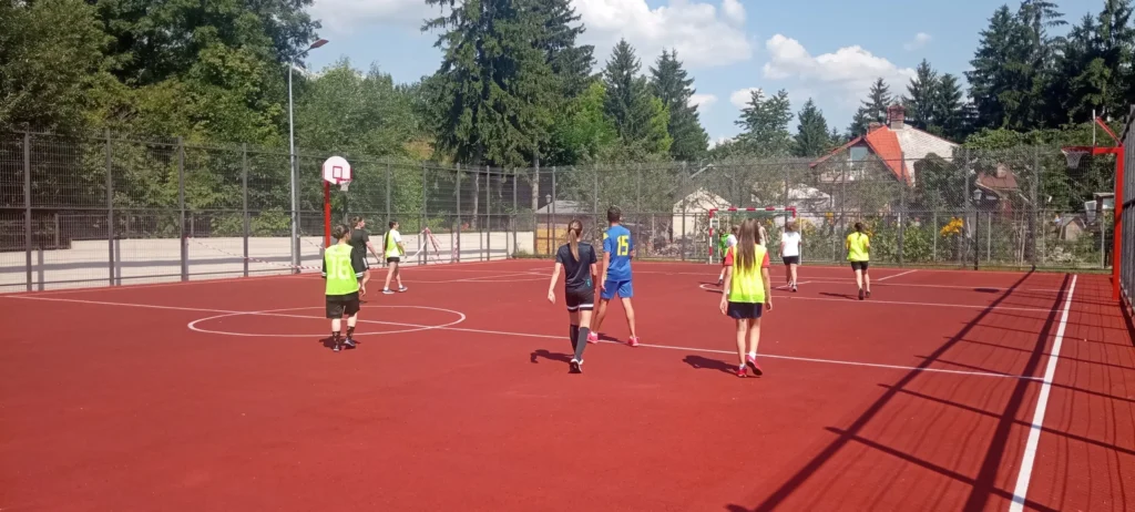 ViitorulComarnic 5 1024x462