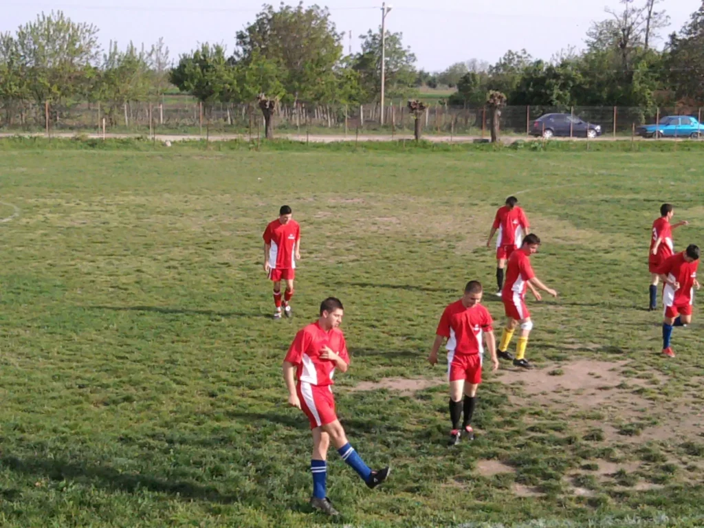 ViitorulFulga 6 1024x768