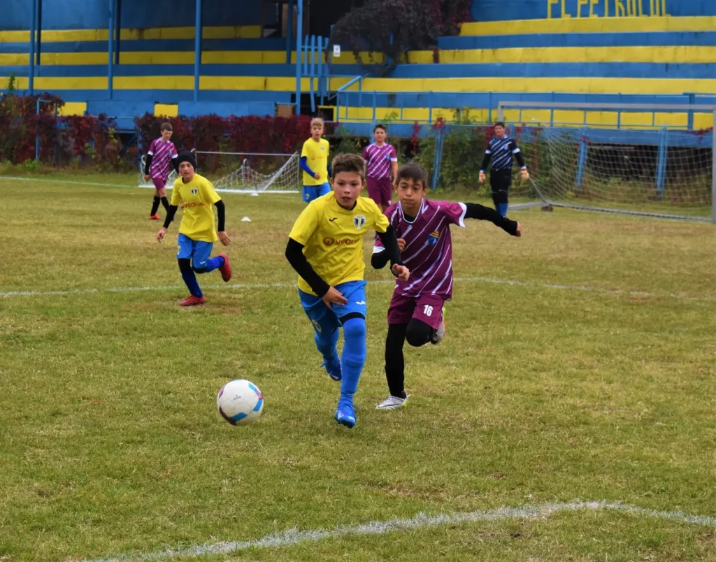 ViitorulPoienariiBurchii 3 1024x804