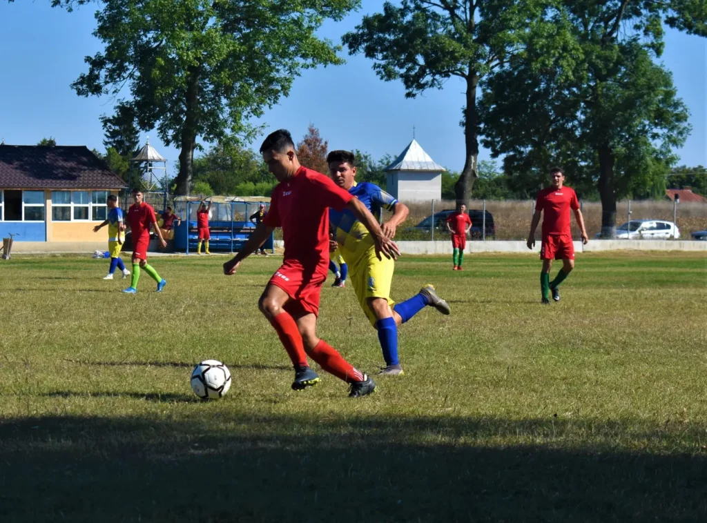 ViitorulPoienariiBurchii 6 1024x758