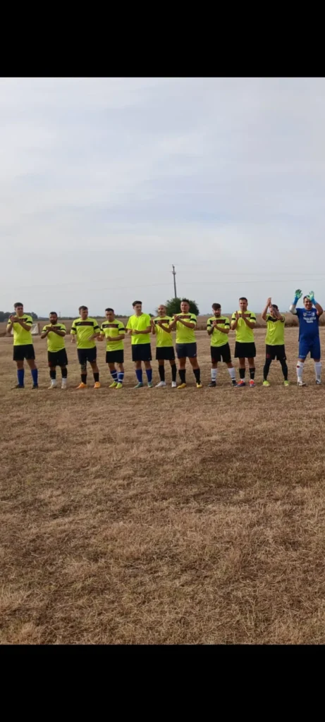 VointaVaduParului 1 461x1024