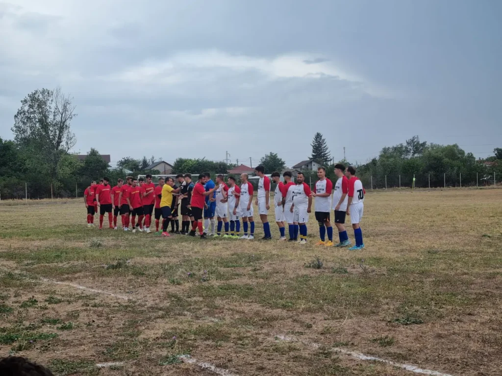 VointaVaduParului 2 1024x768