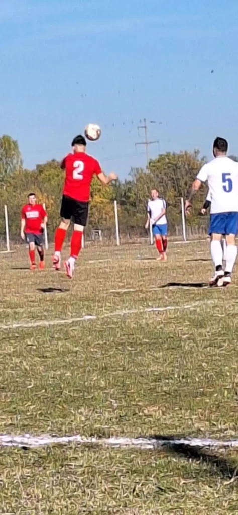 VointaVaduParului 4 474x1024