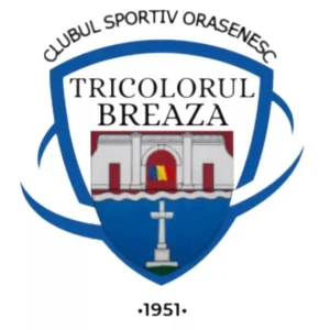 csotricolorulbreazalogosigla 300x300