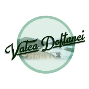 csvaleadoftaneilogosigla 300x300