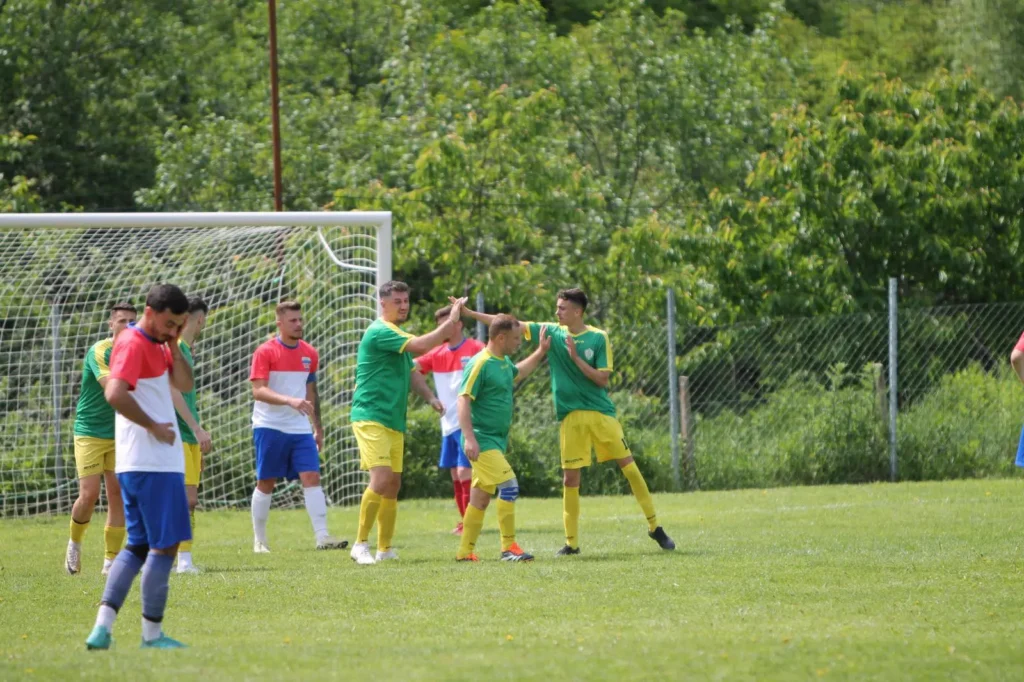 vointacalugareni 3 1024x682