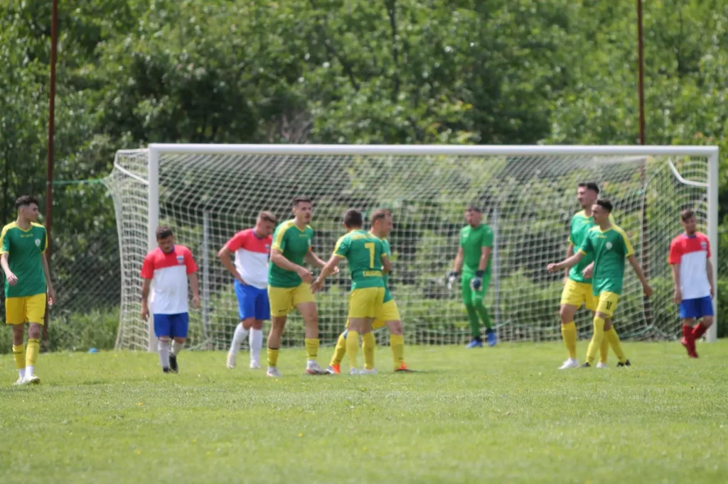 vointacalugareni 5 1024x682