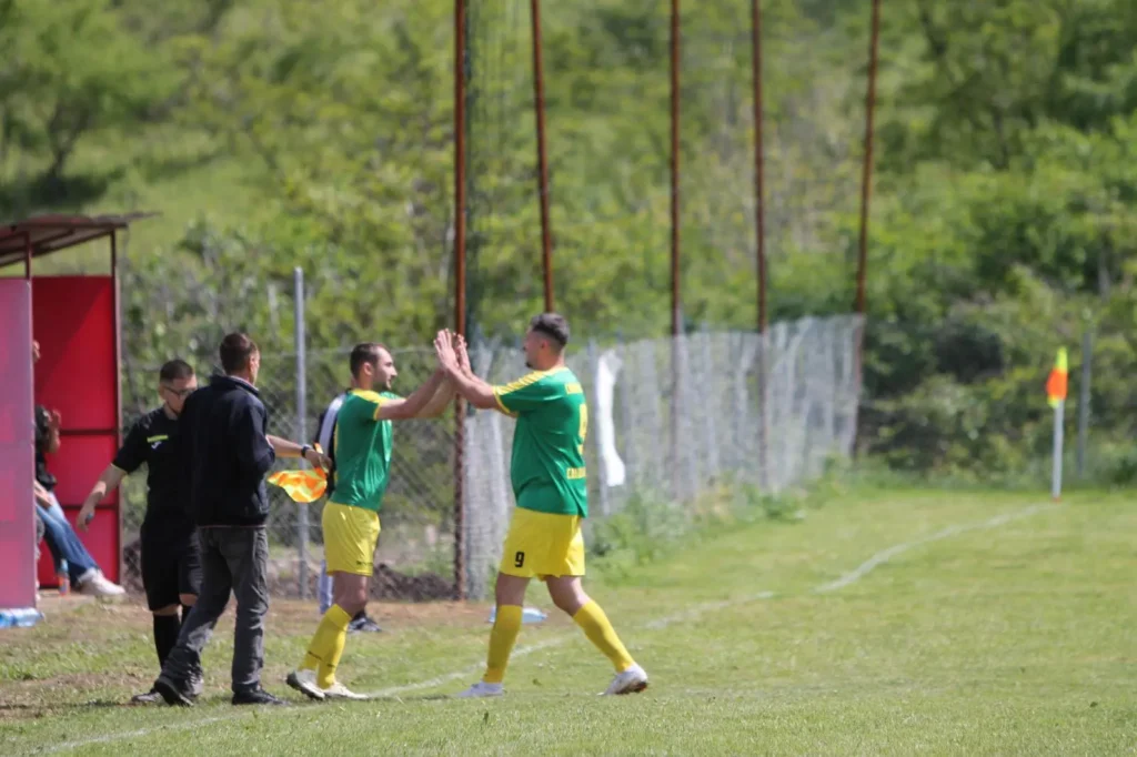 vointacalugareni 6 1024x682