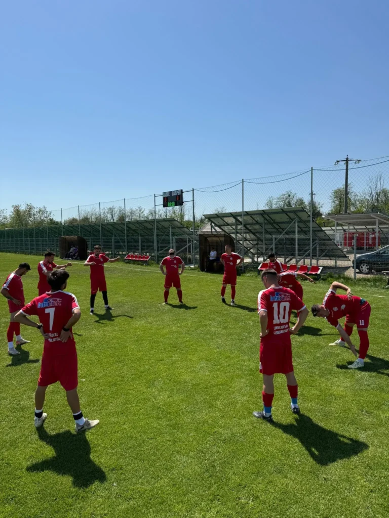 ACSAvantulGlodeanuSilistea 2 768x1024