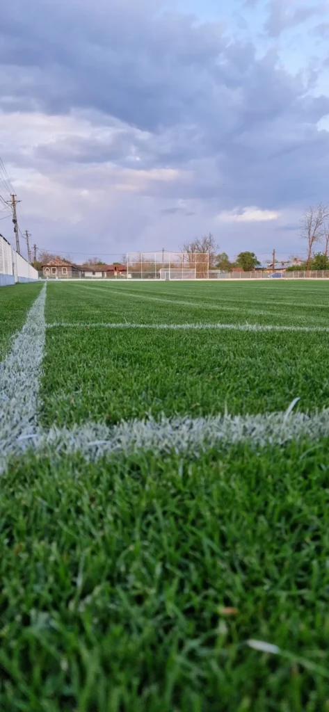 ACSAvantulGlodeanuSilistea 5 473x1024