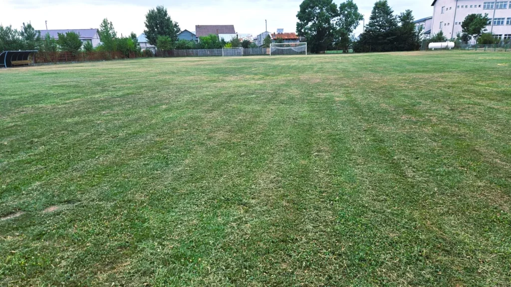 ACSOlimpiaPiciordeMunte 6 1024x576