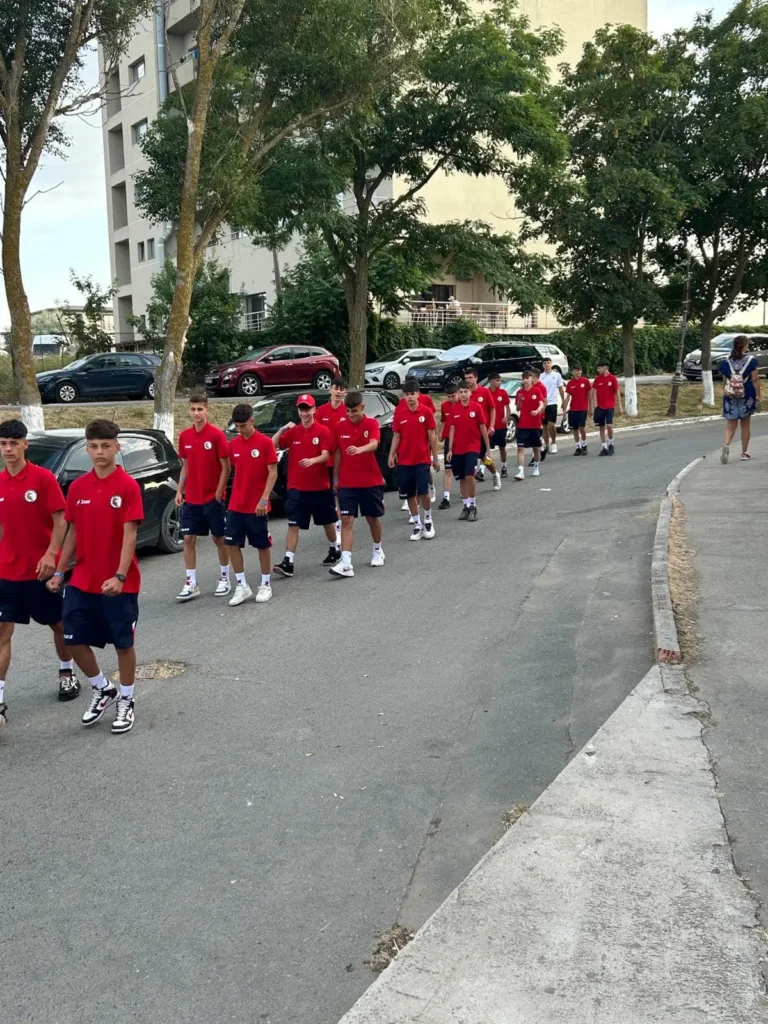 ACSPhoenix 6 768x1024