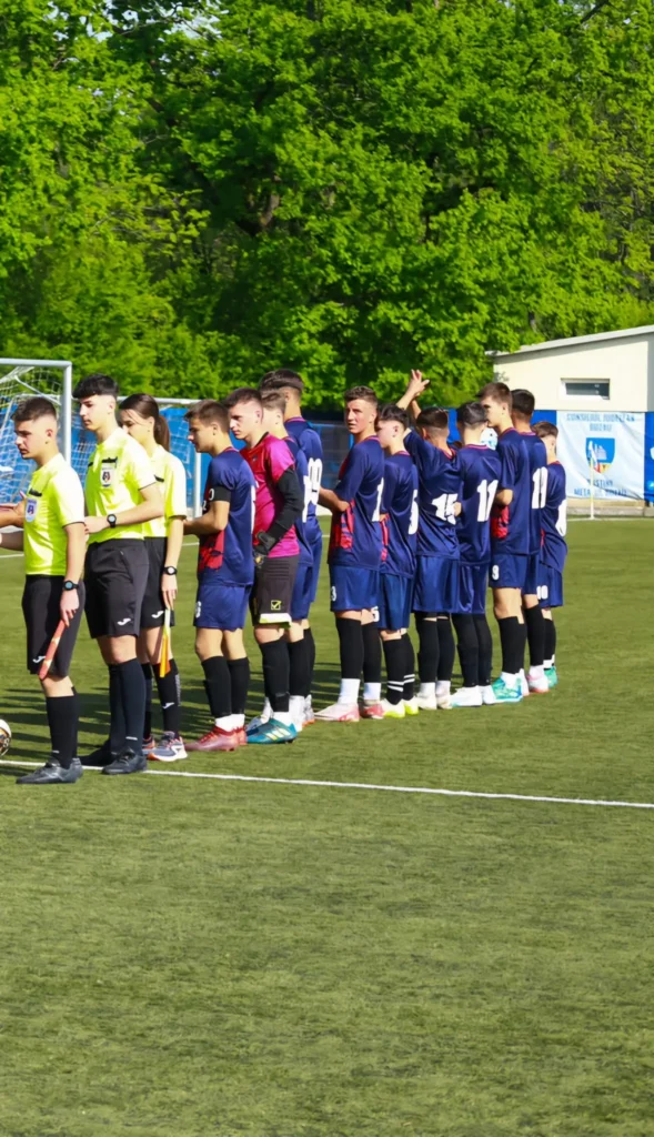 ACSRecoltaSmeeni 4 589x1024