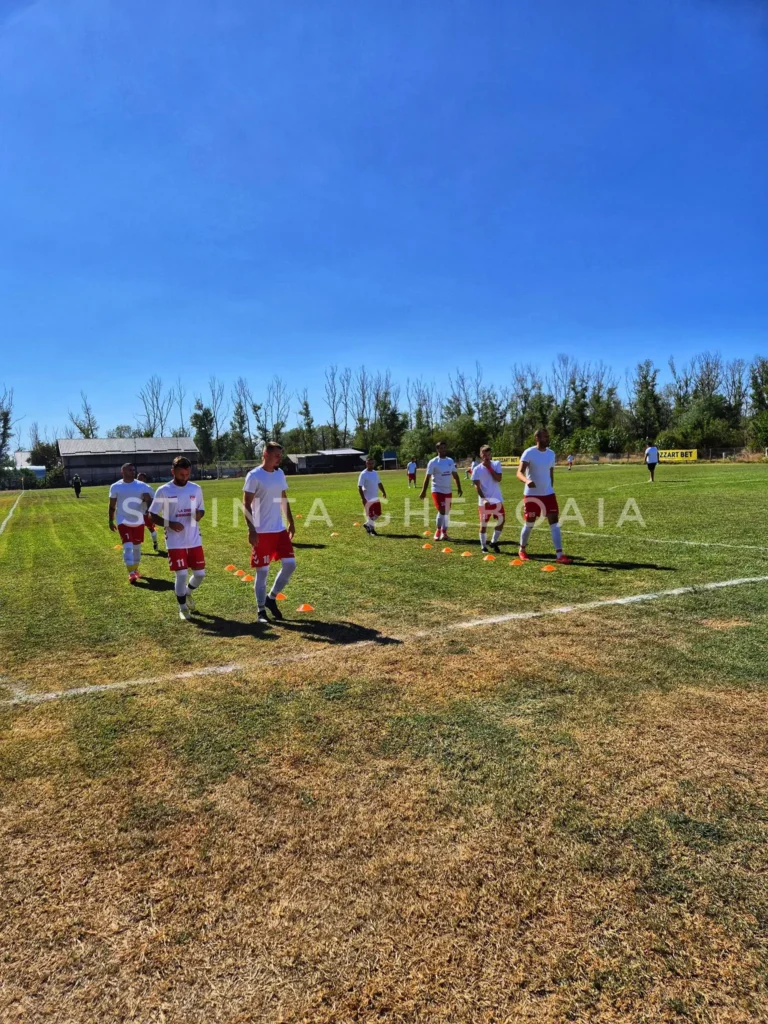 ACSStiintaGheboaia 2 768x1024