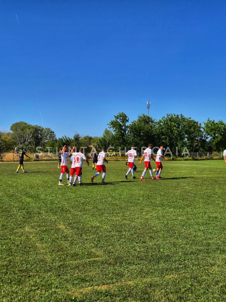 ACSStiintaGheboaia 6 768x1024