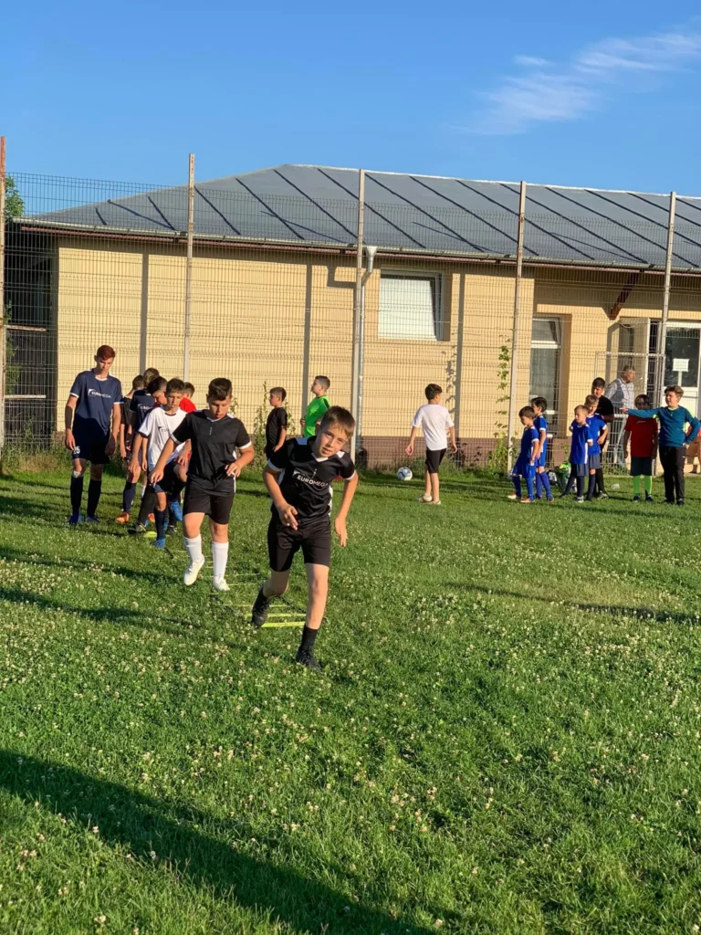 ACSTartaresti 7 768x1024