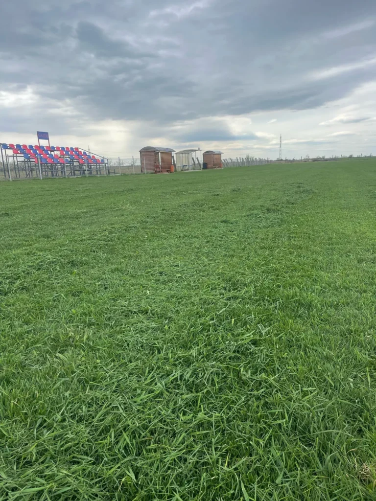 ACSVictoriaComisani 2 768x1024