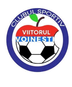 ACSViitorulVoinesti logo sigla 250x300
