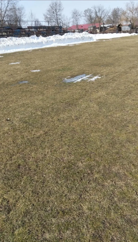 ACSVointaVisina 2 585x1024