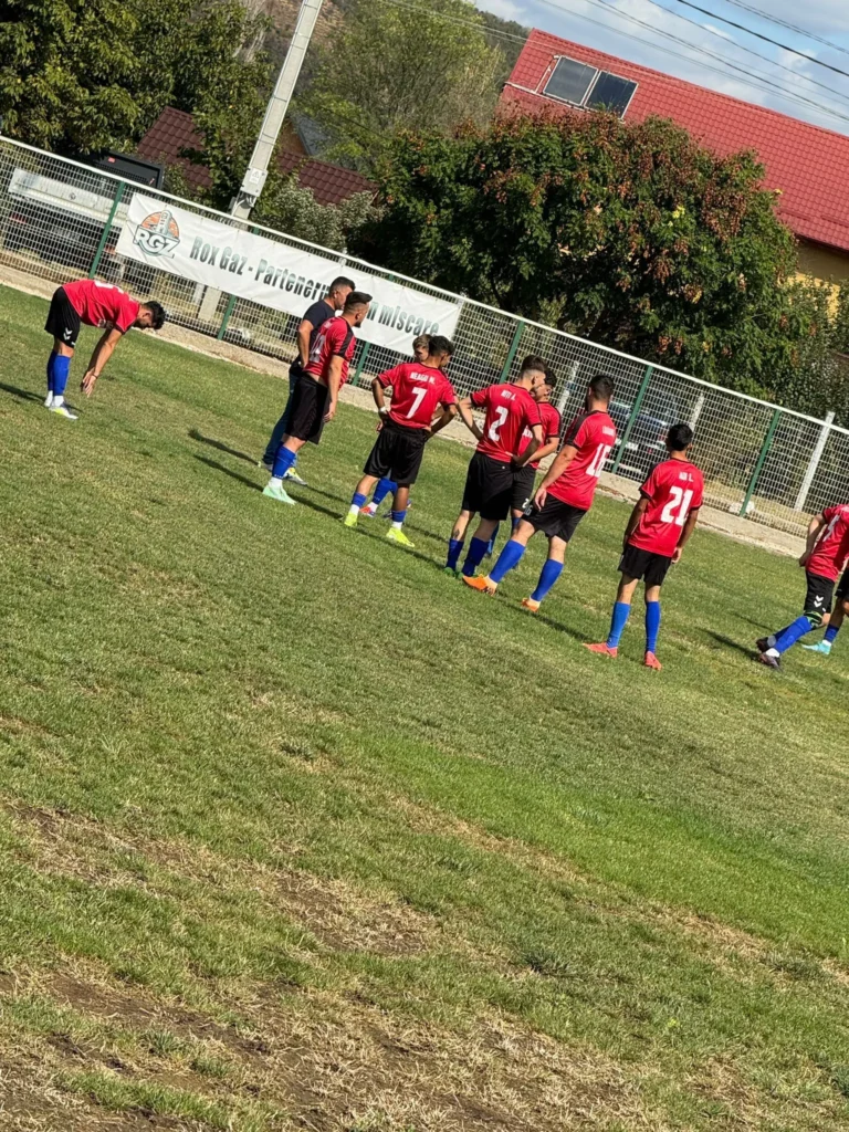 ASViticultorulBreaza 3 768x1024