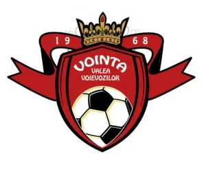 ASVointaValeaVoievozilor LOGO SIGLA 300x262